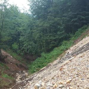 20160725_115158_original