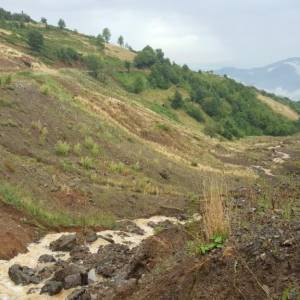 20160725_121157_original