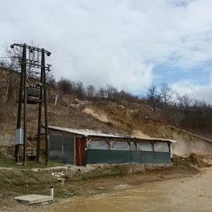 20170225_132656_original