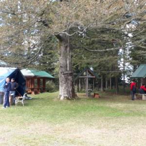 20220923_154258_original