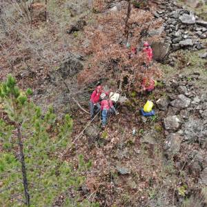 IMG-8297962b259b975425e6dc93b12aaf4d-V_original