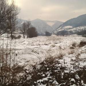 Drivusa_Janjici_4_original