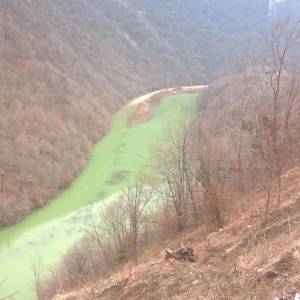 WP_20170220_10_23_34_Pro_original