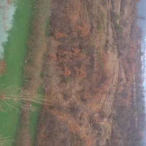 WP_20170220_10_32_28_Pro_original